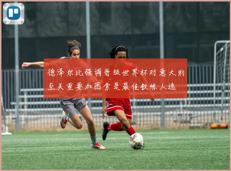 德泽尔比强调晋级世界杯对意大利至关重要加图索是最佳教练人选