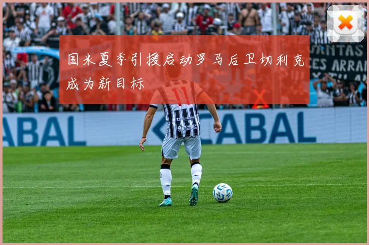 国米夏季引援启动罗马后卫切利克成为新目标