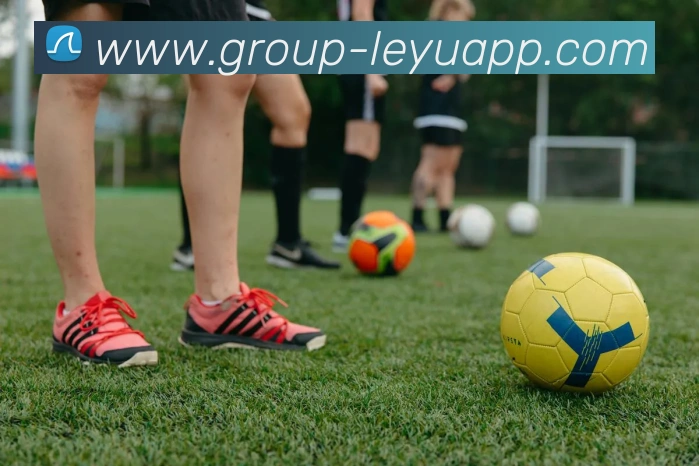 乐鱼体育服务体系