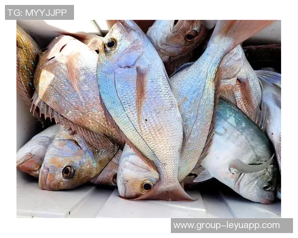 拉什福德分享海钓乐趣笑容灿烂展现多彩业余生活